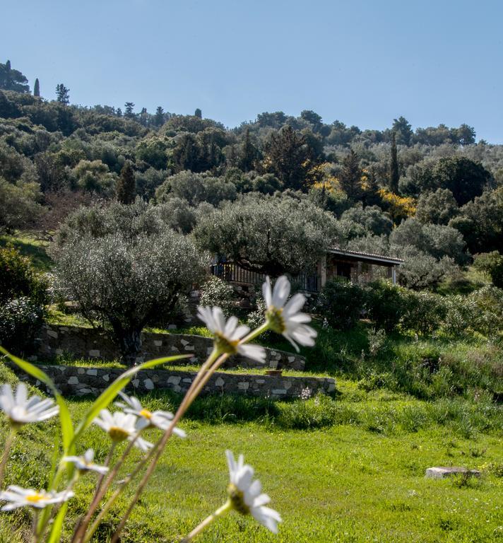 Villa Collina Vasilikí Dış mekan fotoğraf